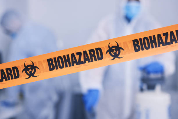 Professional Odor Removal technician working in Bayport, MN